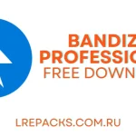 Bandizip Professional